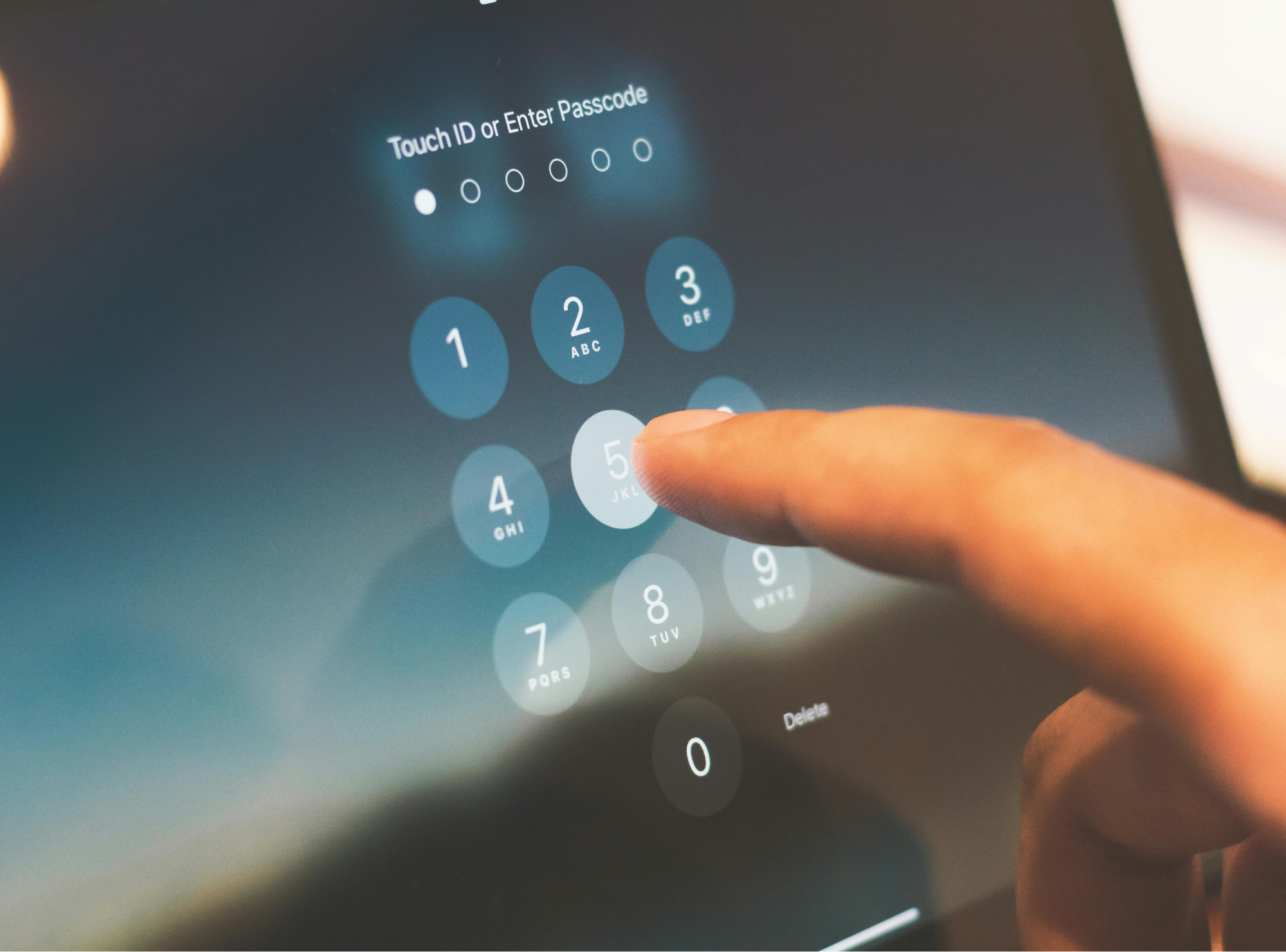 Ciberseguriad (1)
