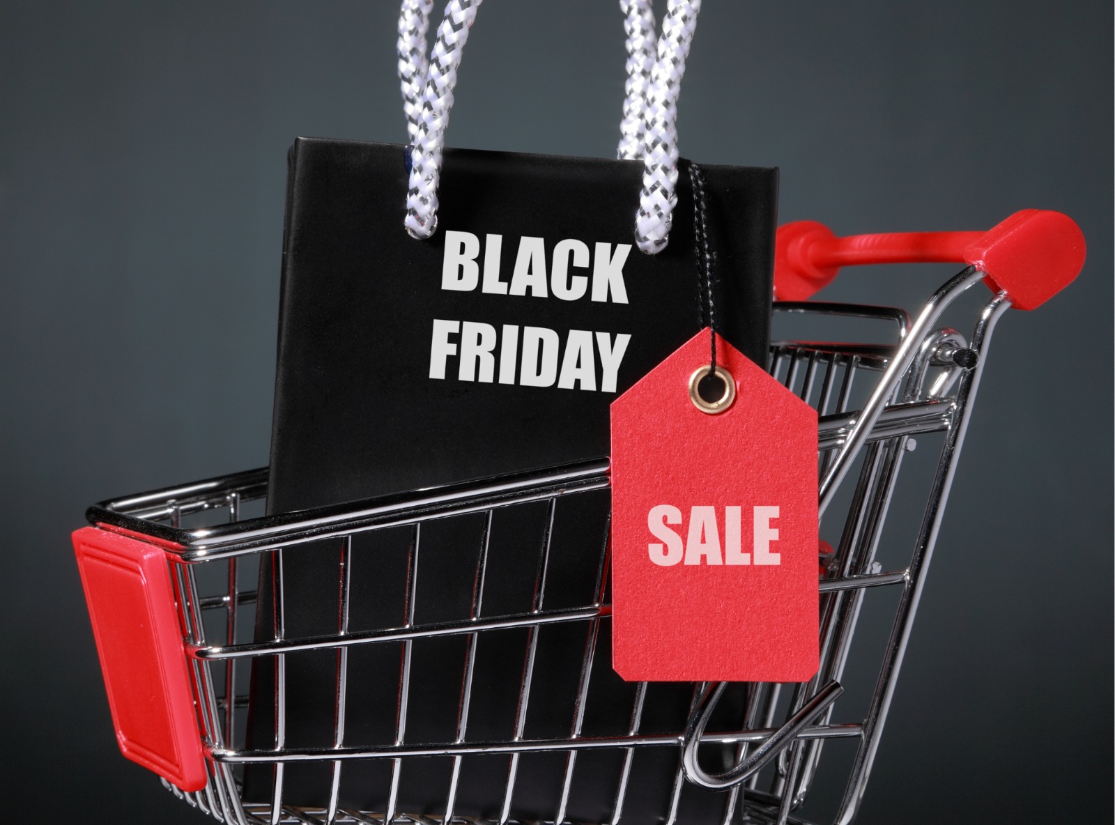 WhatsApp Image 2025-11-21 at 8.58